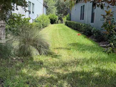 Lawn Care service in Lutz, 33549