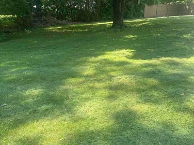 Lawn Care service in New Haven County, 06471