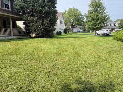 Lawn Care service in Olney, 20832