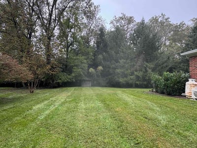 Lawn Care service in Olney, 20832