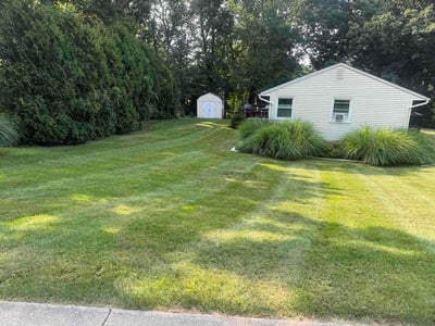 Lawn Care service in Wallingford, 06492
