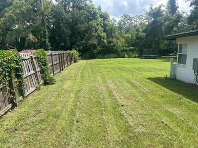 Lawn Care service in Wallingford, 06492