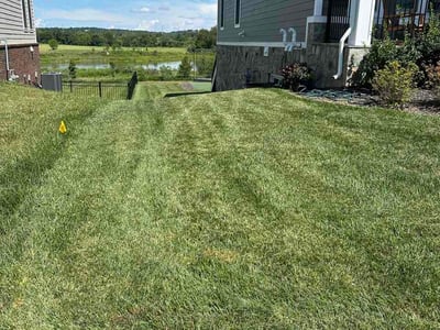 Lawn Care service in Leesburg, 20176