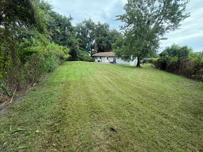 Lawn Care service in Tavares, 32778