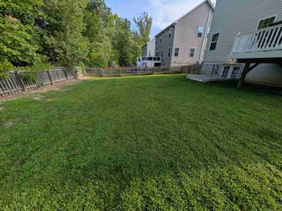 Lawn Care service in Burke, 22009