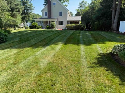 Lawn Care service in Wolcott, 06716