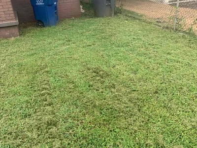 Lawn Care service in East Haven, 06512