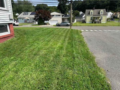 Lawn Care service in Derby, 06418