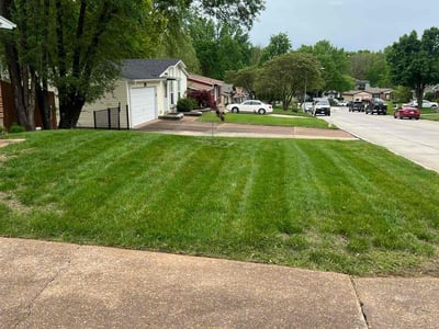 Lawn Care service in North Haven, 06473