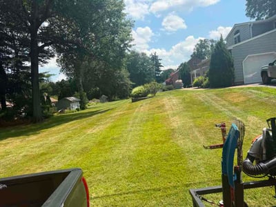 Lawn Care service in West Hartford, 06107