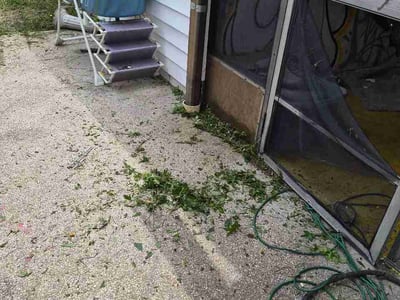 Leaf Removal service in Zephyrhills, 33542