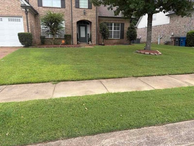 Lawn Care service in Goleta, 93117