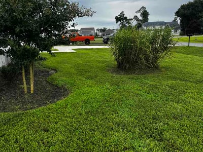 Lawn Care service in Millsboro, 19966