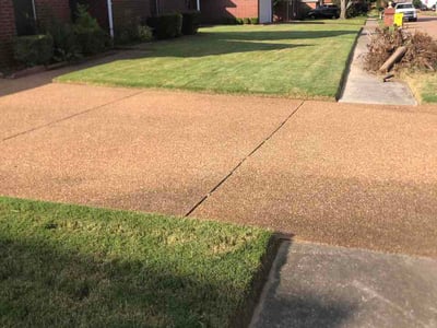 Lawn Care service in Salinas, 93901