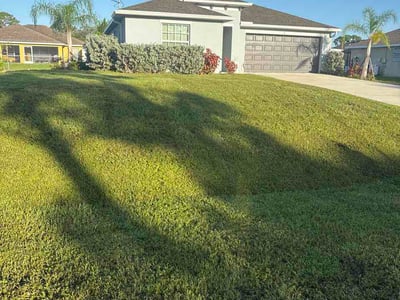 Lawn Care service in Salinas, 93901