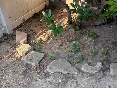 Leaf Removal service in Noblesville, 46060