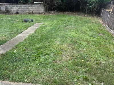 Leaf Removal service in Noblesville, 46060