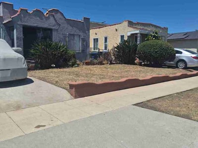 Leaf Removal service in Roseville, 95678