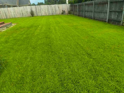 Lawn Care service in Richmond Hill, 11418