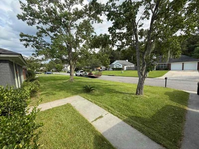 Lawn Care service in Richmond Hill, 11418
