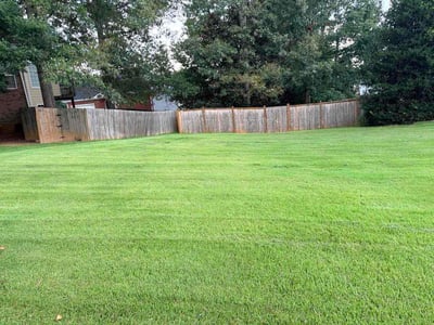 Lawn Care service in Oakland Gardens, 11364