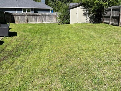 Lawn Care service in Oakland Gardens, 11364