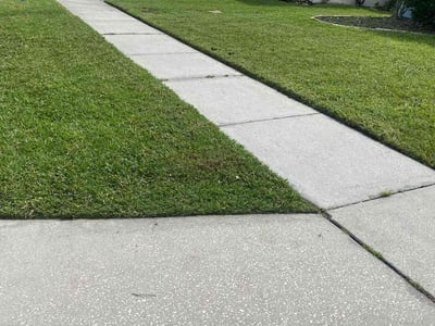 Lawn Care service in Oakland Gardens, 11364