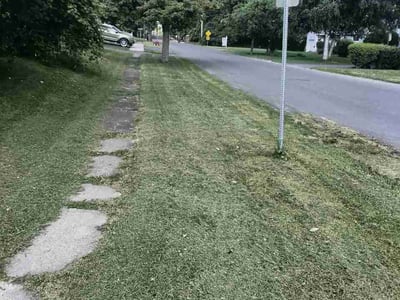 Lawn Care service in Long Island City, 11101