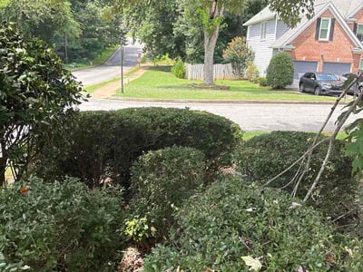 Lawn Care service in East Elmhurst, 11369