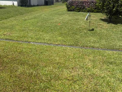 Lawn Care service in Bronx, 10462