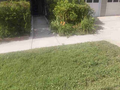 Lawn Care service in Old Bridge, 08857