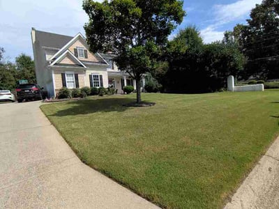 Lawn Care service in Howard Beach, 11414