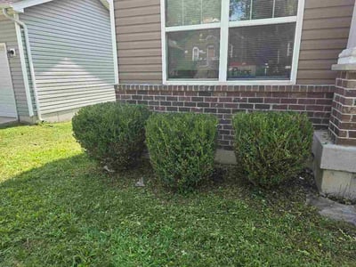 Lawn Care service in Old Bridge, 08857