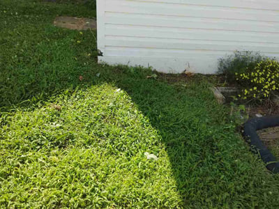 Leaf Removal service in Frederick, 21701