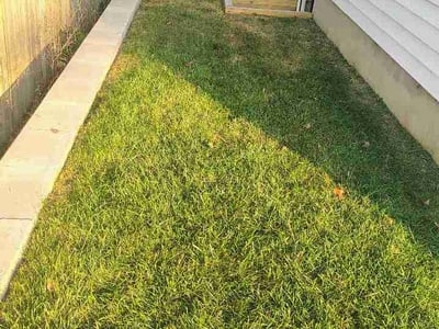 Lawn Care service in Jersey City, 07302