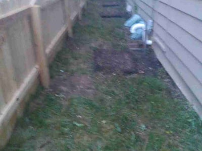 Leaf Removal service in Maple Grove, 55311