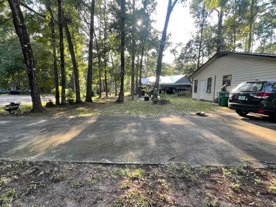 Leaf Removal service in Lutz, 33549