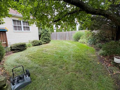 Lawn Care service in Hoboken, 07030