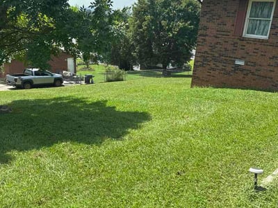 Lawn Care service in Bristol, 37620