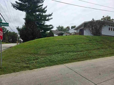 Lawn Care service in East Moline, 61244