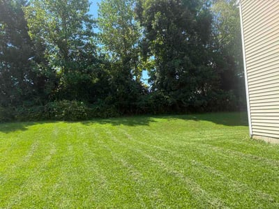 Lawn Care service in Rockville Centre, 11570