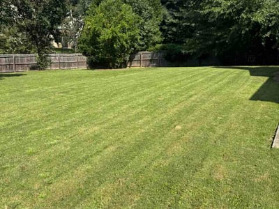 Lawn Care service in Rockville Centre, 11570