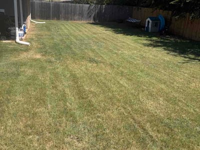 Lawn Care service in Copperas Cove, 76522