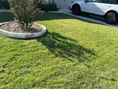 Lawn Care service in Copperas Cove, 76522