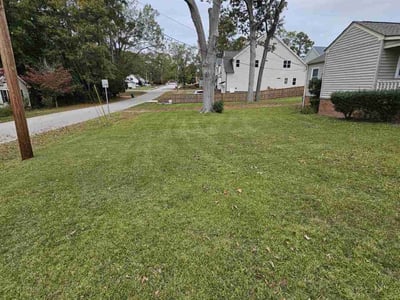 Lawn Care service in Bay Shore, 11706