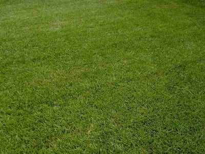 Lawn Care service in Foley, 36535