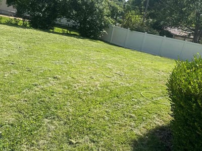 Lawn Care service in Paterson, 07505