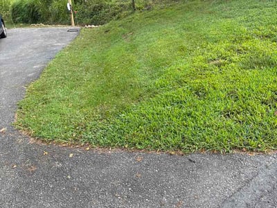 Lawn Care service in Charlottesville, 22902