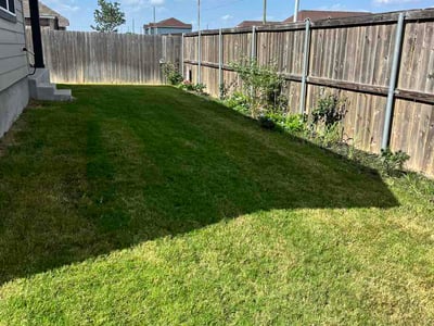 Lawn Care service in Belton, 76513