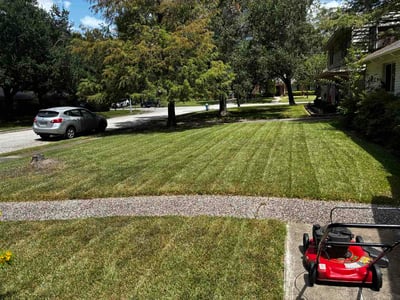 Lawn Care service in Oroville, 95965